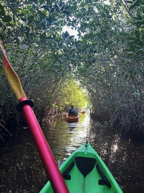 The BEST Florida Tours and Things to Do in 2026 - FREE Cancellation | GetYourGuide