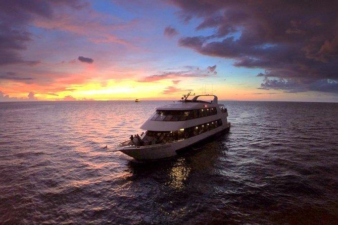 Tampa Bay Dinner Cruise from St. Petersburg with Dance Floor