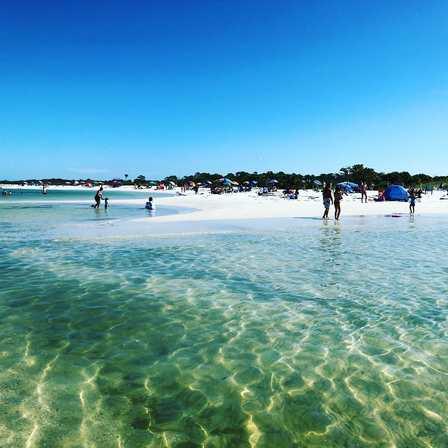 Honeymoon Island: One of Tampa Bay's Best Beaches for a Nature Escape