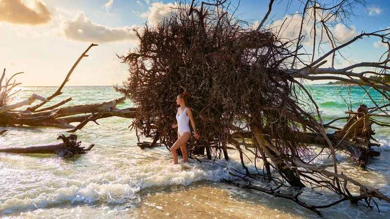 Beer Can Island: A Hidden Gem Near Tampa Bay