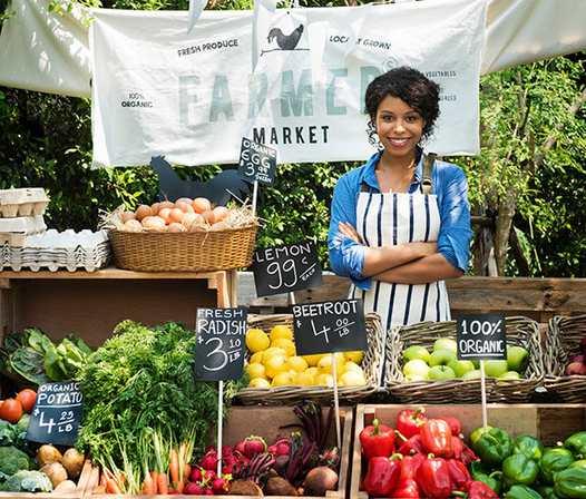 A Taste of Summer: Tampa Bay Farmers Markets Worth Visiting