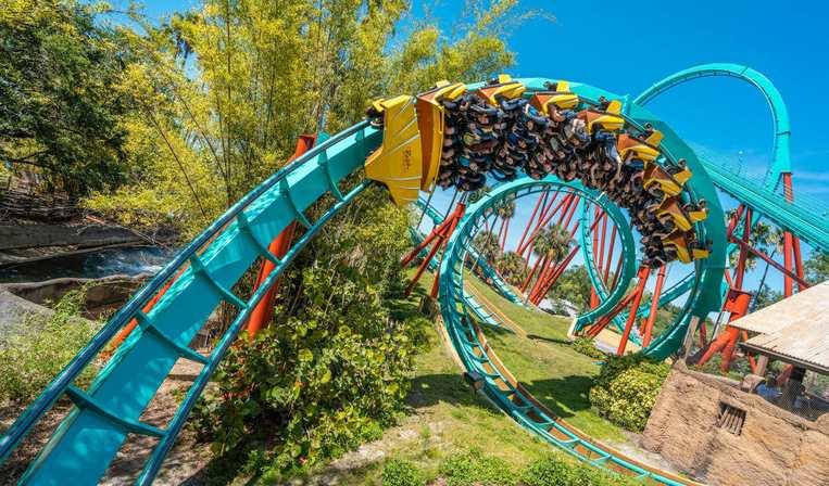 Family Adventures and Thrills: Theme Parks Near Tampa Bay