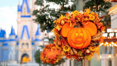 Walt Disney World from Tampa Bay: How Many Days Do You Really Need?