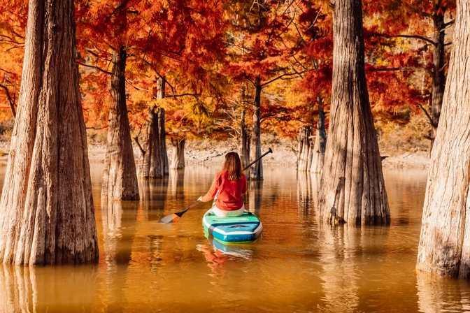 When Fall Really Arrives in Tampa Bay and What Visitors Should Expect