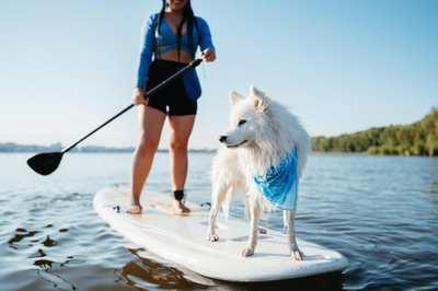 10 Fun Things to Do in Tampa Bay When You Want to Skip the Crowds