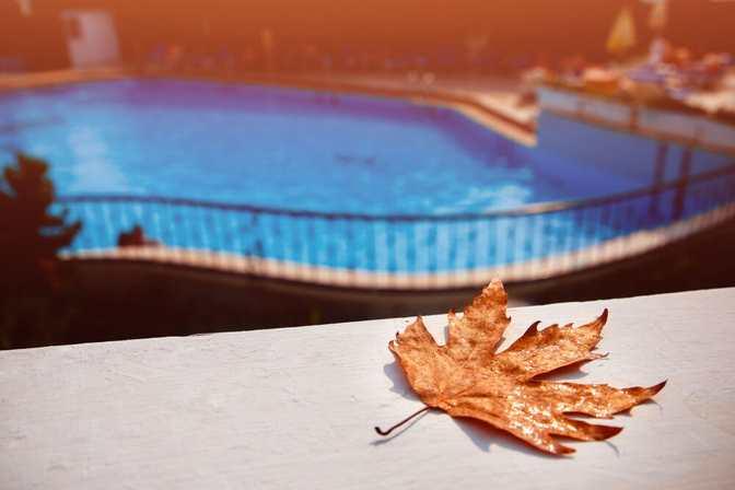 Fall Pool Maintenance in Florida: What to Check Before Temperatures Drop