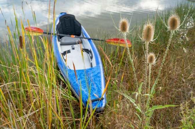 Where to Go Kayaking Around Tampa Bay This Fall