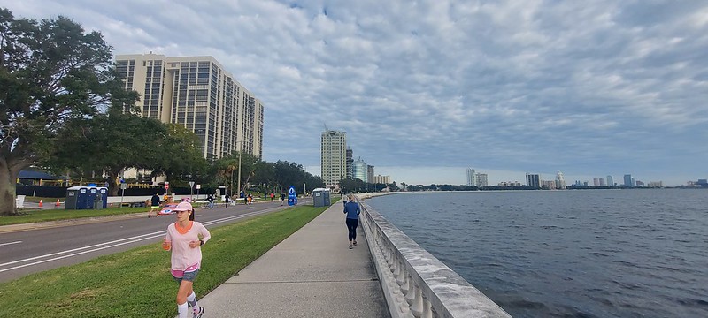 Miles of Open Water on Bayshore Boulevard