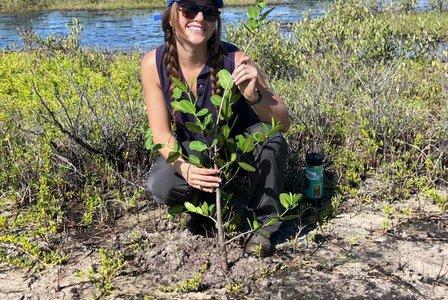 K-Bar Ranch Seedling Tree Planting