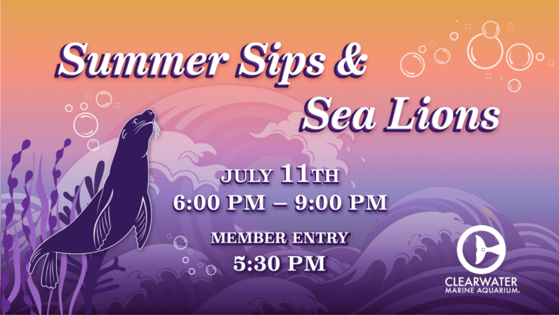 Summer Sips & Sea Lions