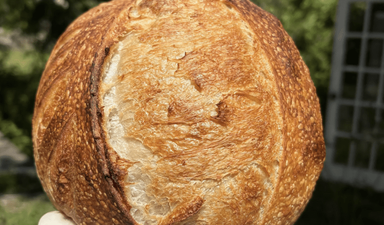 Beginner's Sourdough Class