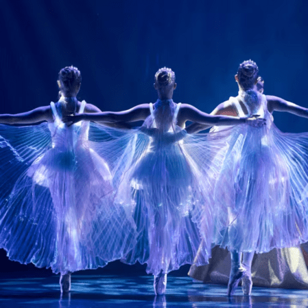 Ballet of Lights: Sleeping Beauty in a Sparkling Show