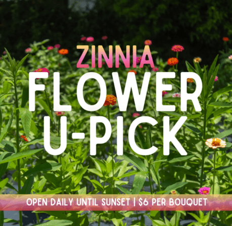 Flower U-Pick