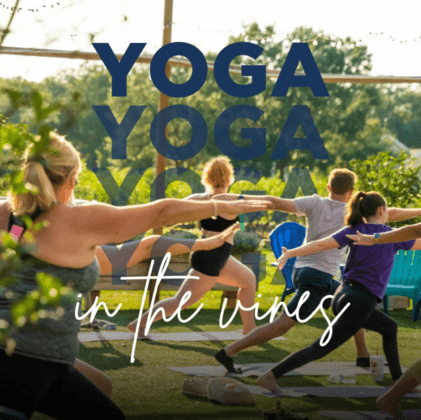 Yoga in the Vines