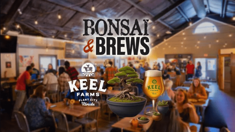 Bonsai and Brew's