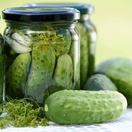 Pickling Class
