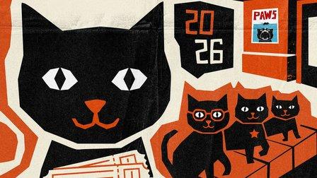 CatVideoFest