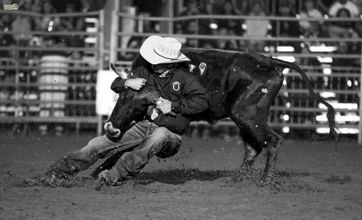 Tampa Bay Rodeo & Family Festival
