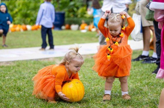 Pumpkin Patch