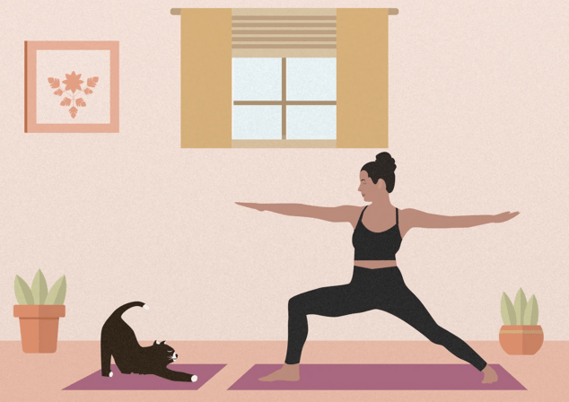 Kitten Yoga 2.0!