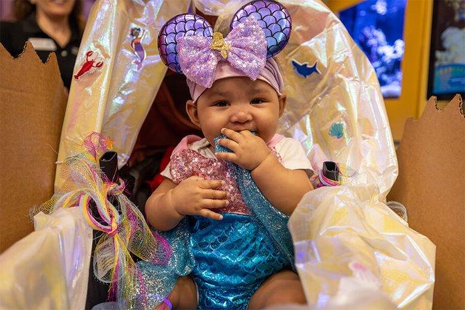 Guppyween at The Florida Aquarium