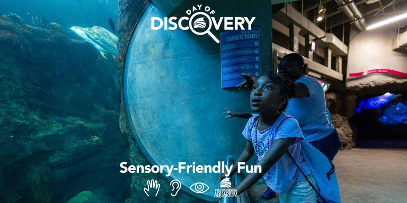 The Florida Aquarium: Day of Discovery